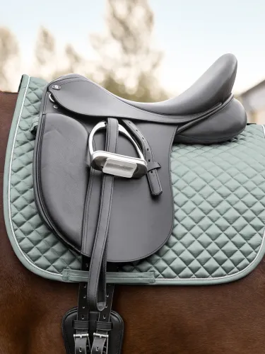 Koolisõiduvaltrap Felix Glam Waldhausen