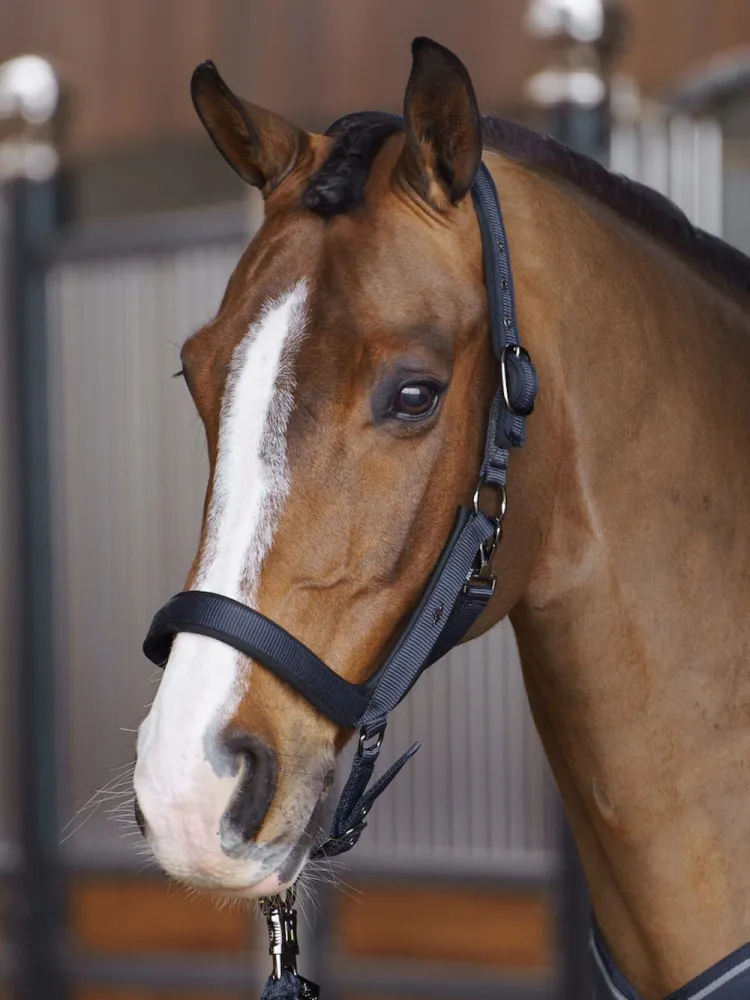 Päitsed ComfortFit Essential HV Polo