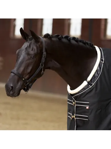 Rinnakukaitse Super-Dry Imperial Riding