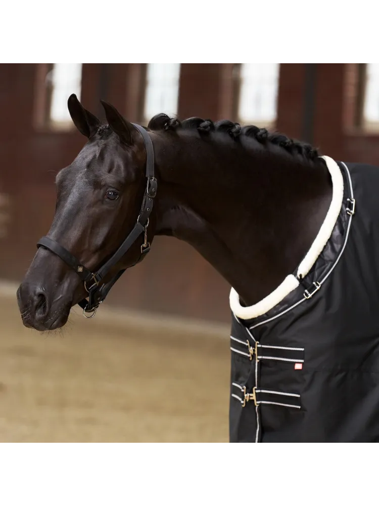 Rinnakukaitse Super-Dry Imperial Riding
