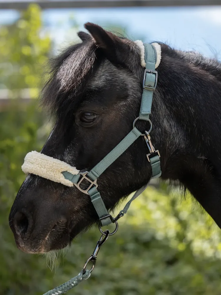Päitsed Mia Pony HKM