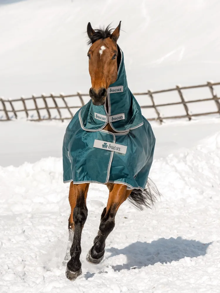 Õuetekk Atlantic Turnout 50g 1680D Bucas (kaelaosa)