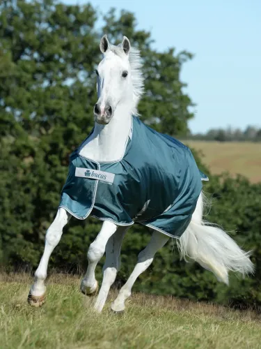 Õuetekk Atlantic Turnout 50g 1680D Bucas (kaelaosa)