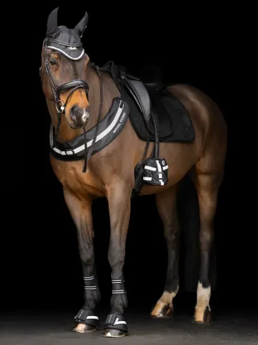 Varbasoojendaja Luminous Imperial Riding