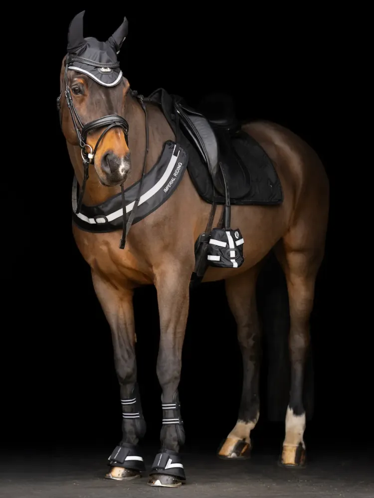 Varbasoojendaja Luminous Imperial Riding