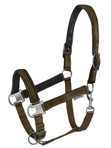 Päitsed Athletic Waldhausen