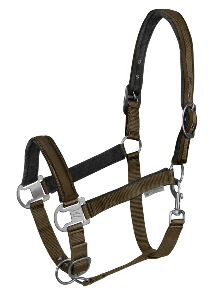 Päitsed Athletic Waldhausen