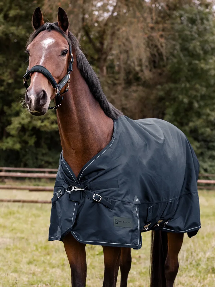 Õuetekk Scandic 100g 1200D Waldhausen