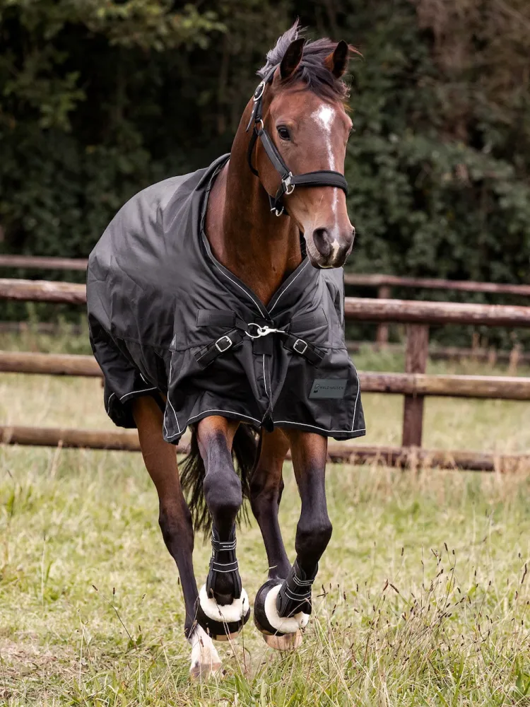 Õuetekk Scandic 100g 1200D Waldhausen