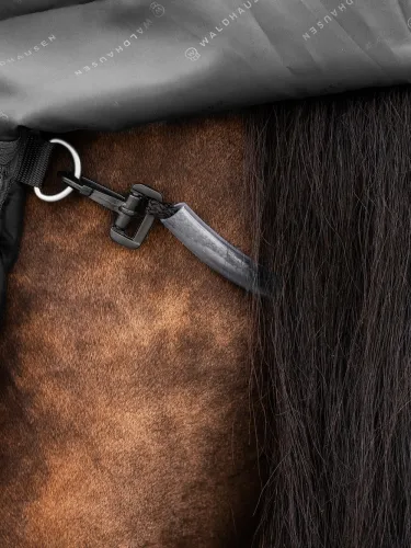 Õuetekk Scandic 100g 1200D Waldhausen