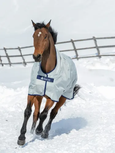 Õuetekk Power Turnout 150g 1680D Bucas