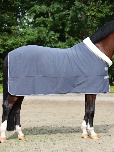 Coolertekk Elegance Kavalkade