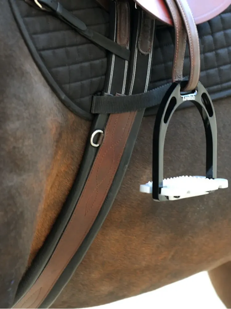 Sadulavöö Comfort Elastic Oiled Leather Kavalkade