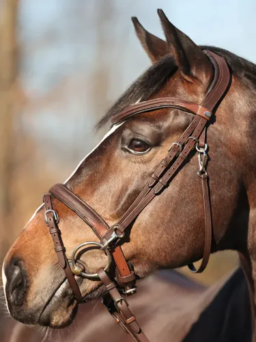 Valjad Everyday Oiled Leather Kavalkade