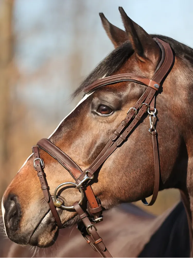 Valjad Everyday Oiled Leather Kavalkade