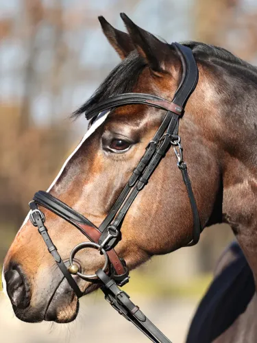 Valjad Everyday Oiled Leather Kavalkade