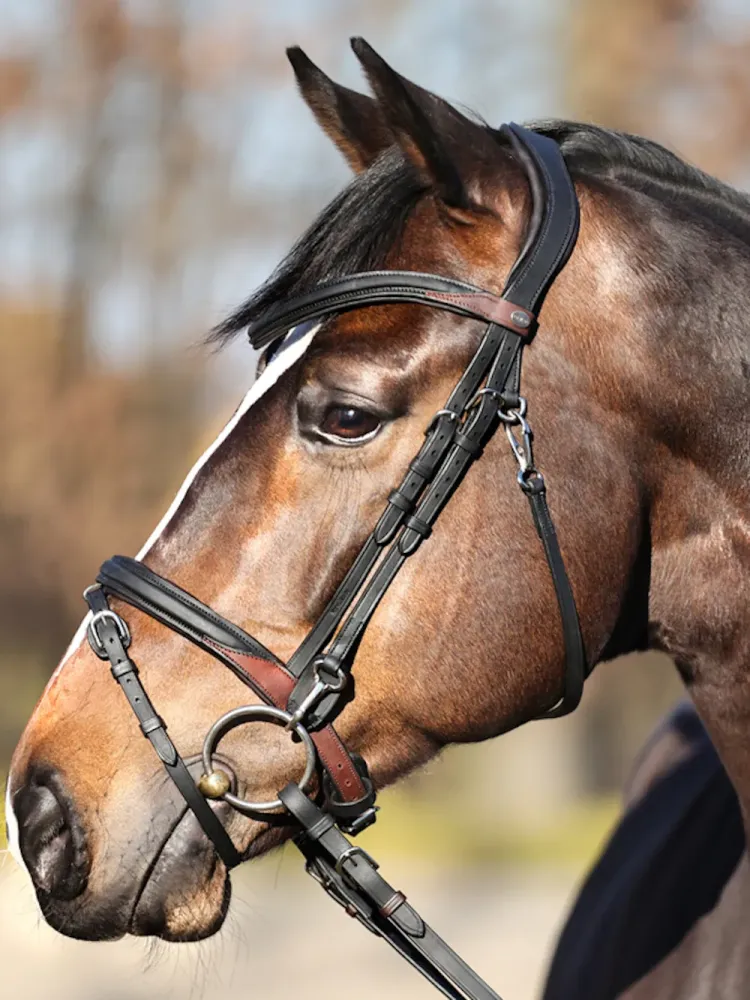 Valjad Everyday Oiled Leather Kavalkade