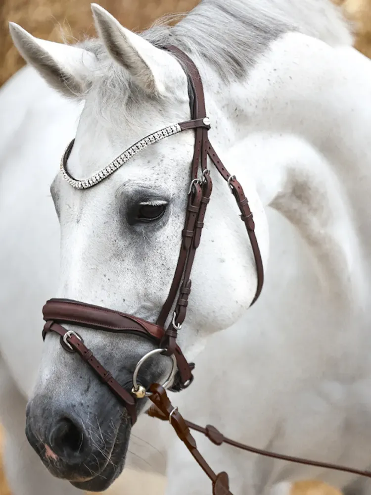 Valjad Everness Oiled Leather Kavalkade