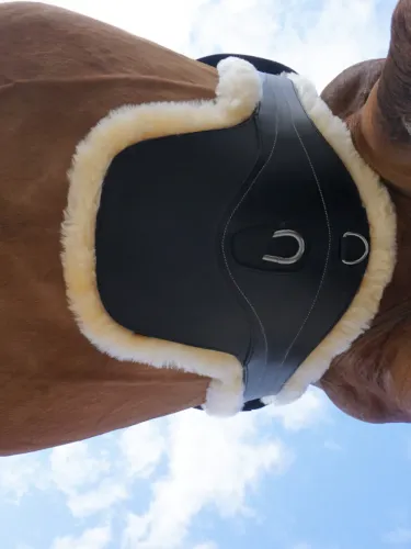 Klapiga sadulavöö Excellence Lambskin Kavalkade