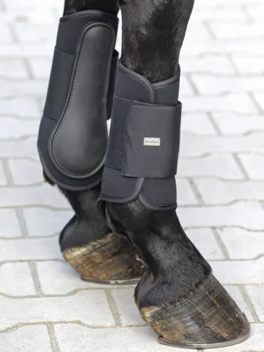 Treeningkaitsmed Softy Front Kavalkade