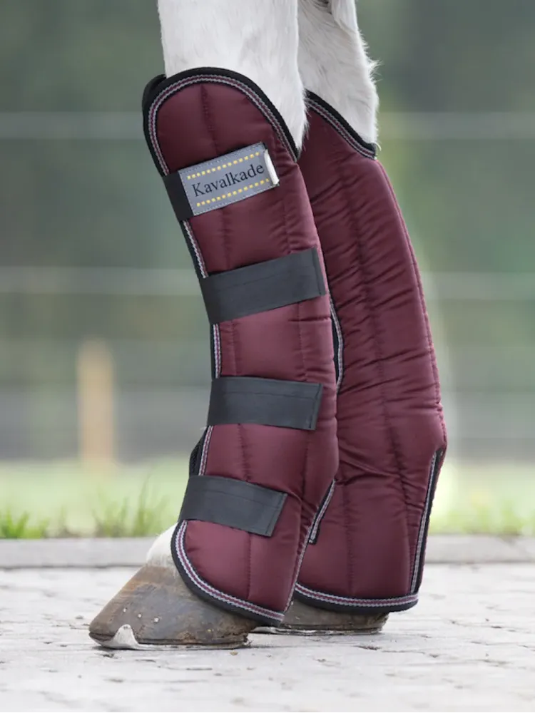 Transpordikaitsmed Montreal 4 Kavalkade