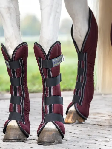 Transpordikaitsmed Montreal 4 Kavalkade