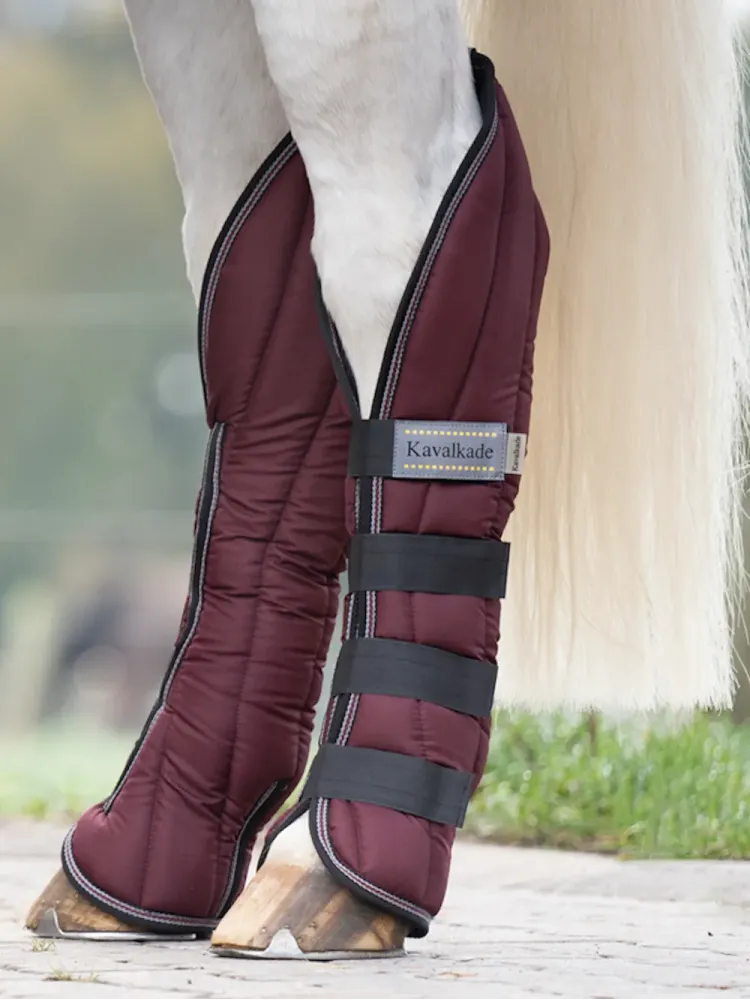 Transpordikaitsmed Montreal 4 Kavalkade