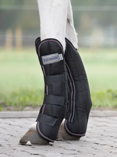 Transpordikaitsmed Montreal 4 Kavalkade