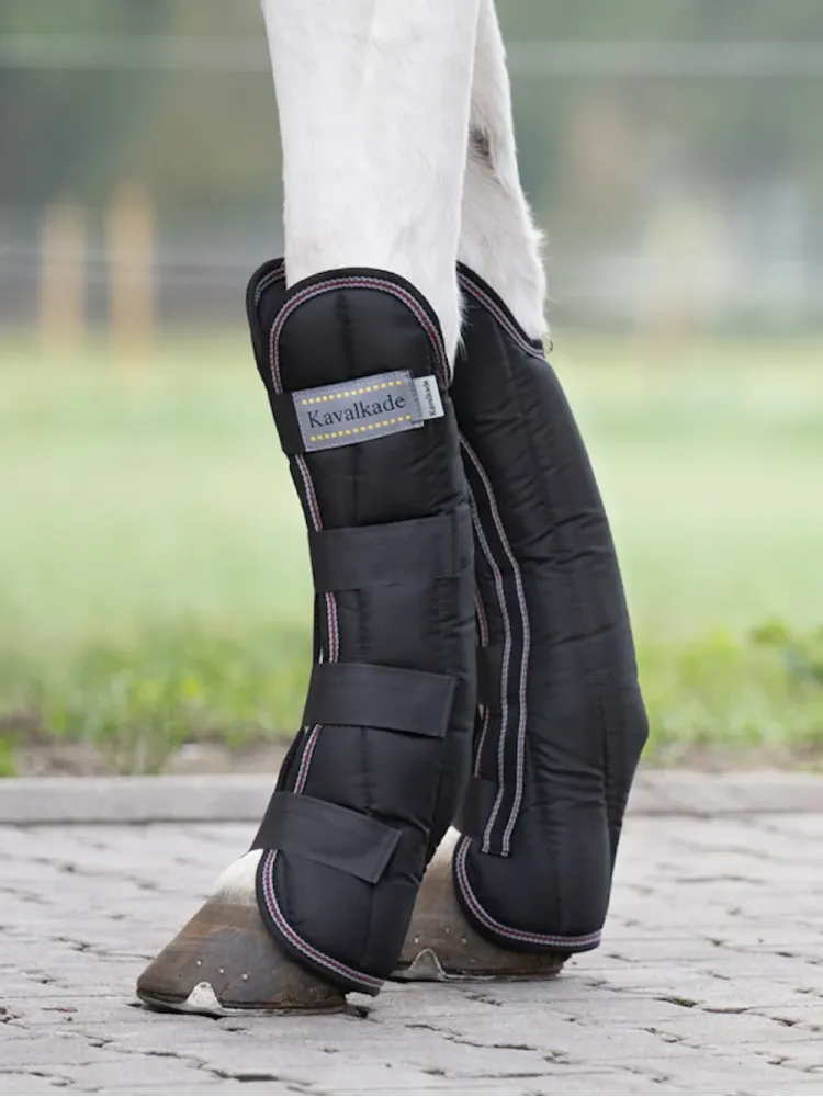 Transpordikaitsmed Montreal 4 Kavalkade