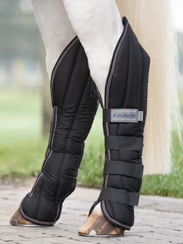 Transpordikaitsmed Montreal 4 Kavalkade