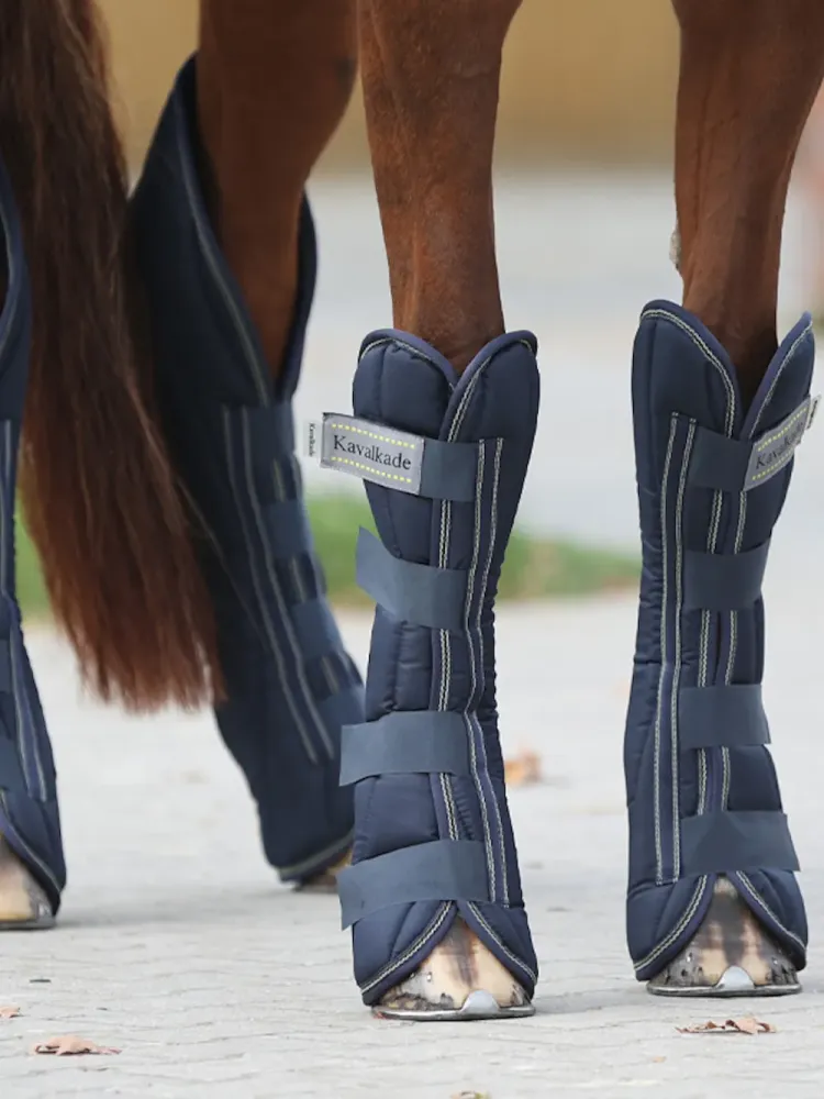 Transpordikaitsmed Montreal 4 Kavalkade