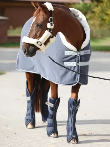 Transpordikaitsmed Montreal 4 Kavalkade