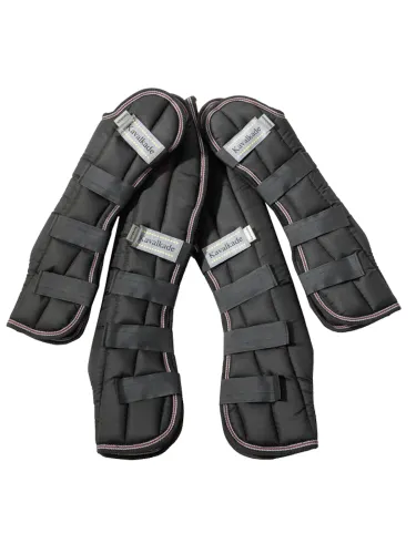 Transpordikaitsmed Montreal 4 Kavalkade