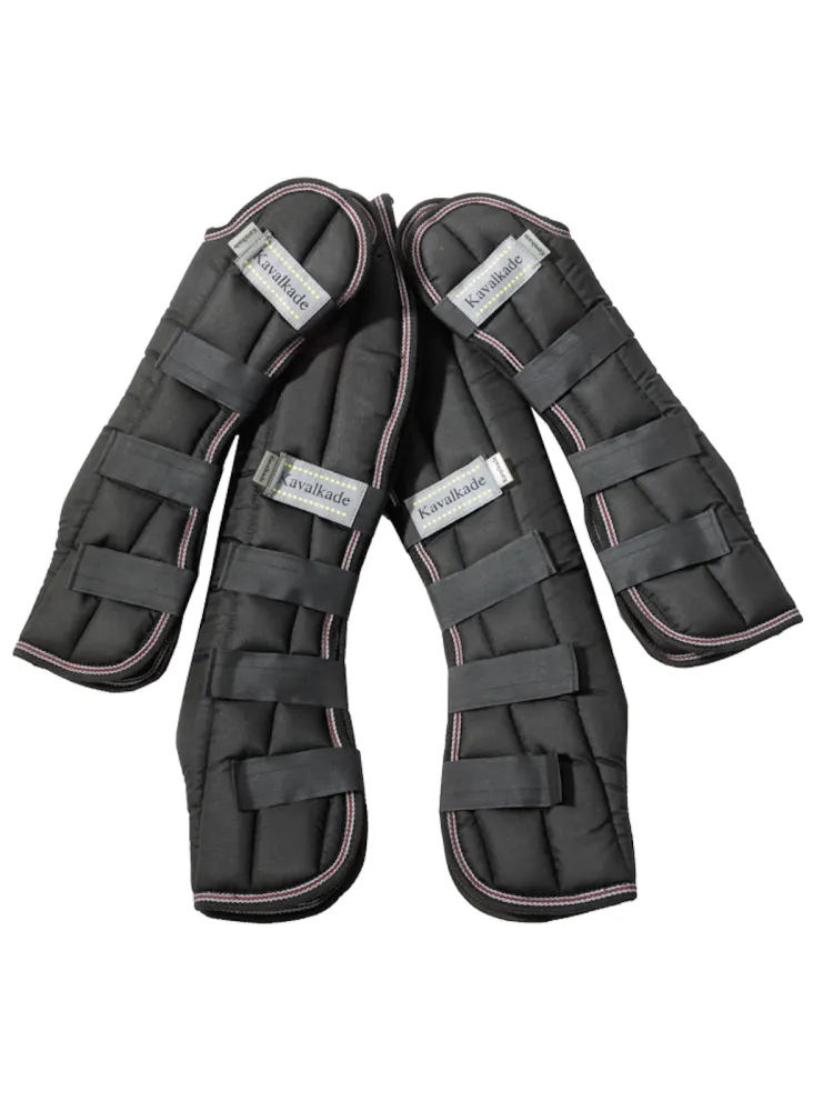 Transpordikaitsmed Montreal 4 Kavalkade