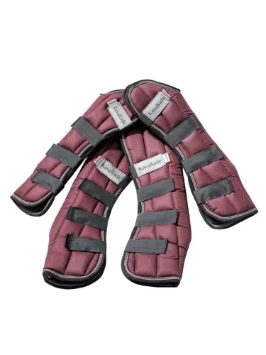 Transpordikaitsmed Montreal 4 Kavalkade