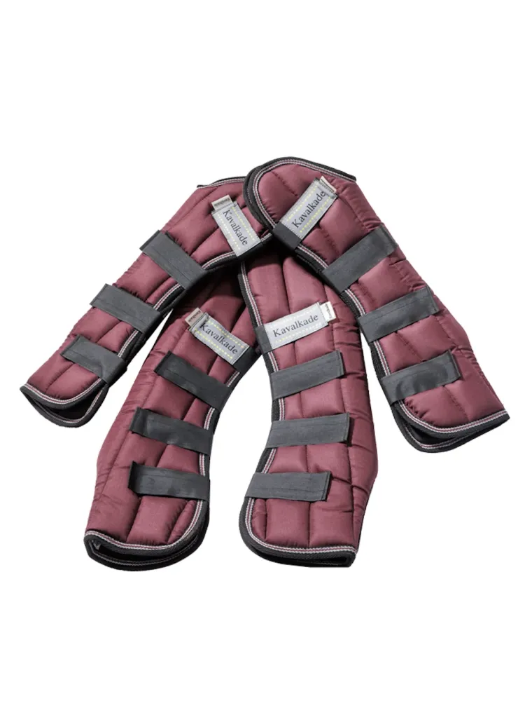 Transpordikaitsmed Montreal 4 Kavalkade