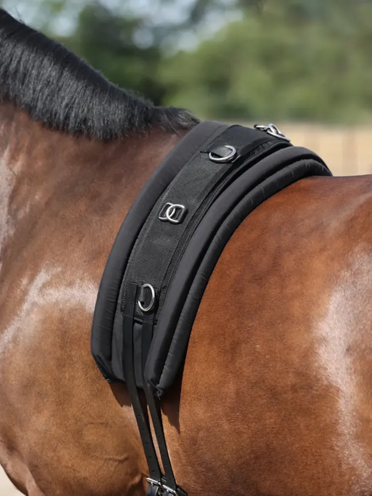 Sedelgapehmendus Kavalkade