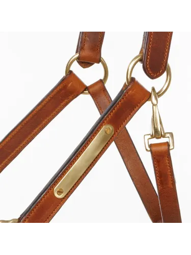 Nahast päitsed Cinta Kavalkade