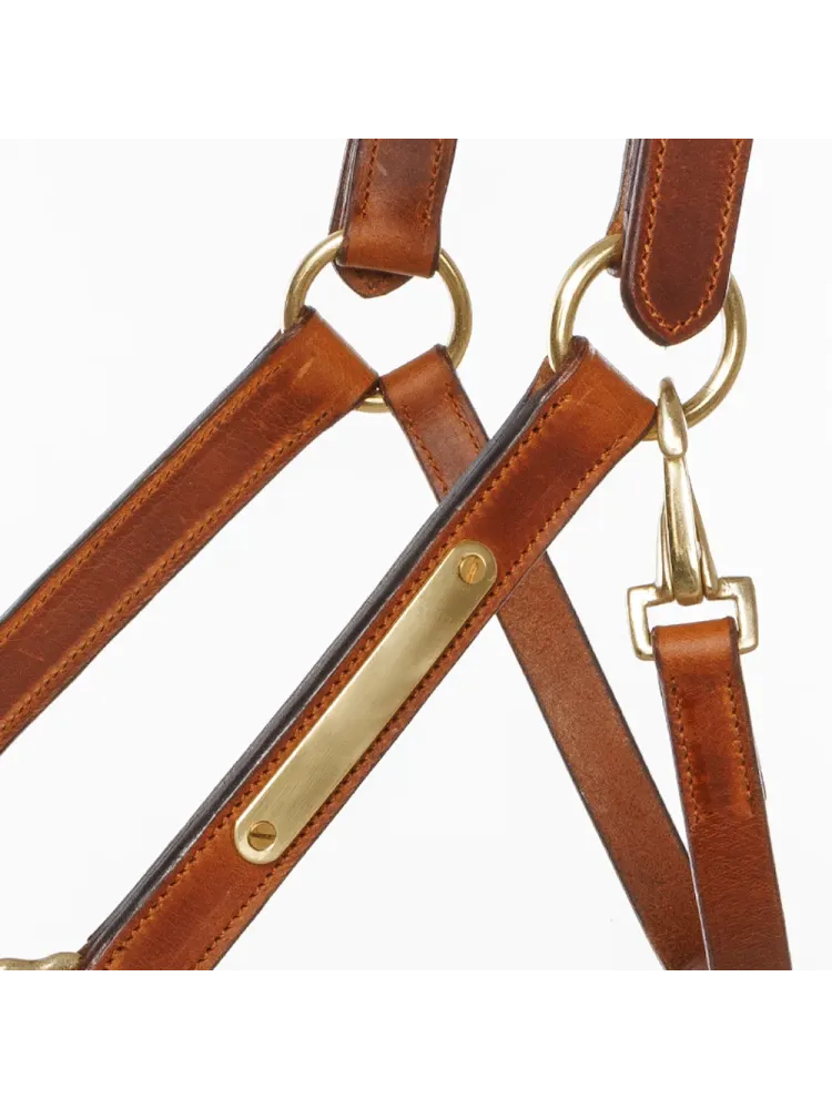 Nahast päitsed Cinta Kavalkade