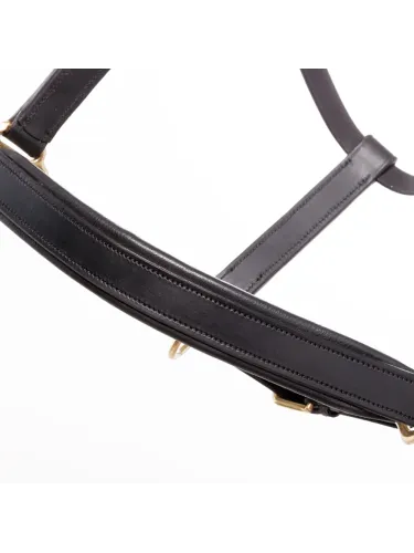 Nahast päitsed Cinta Kavalkade