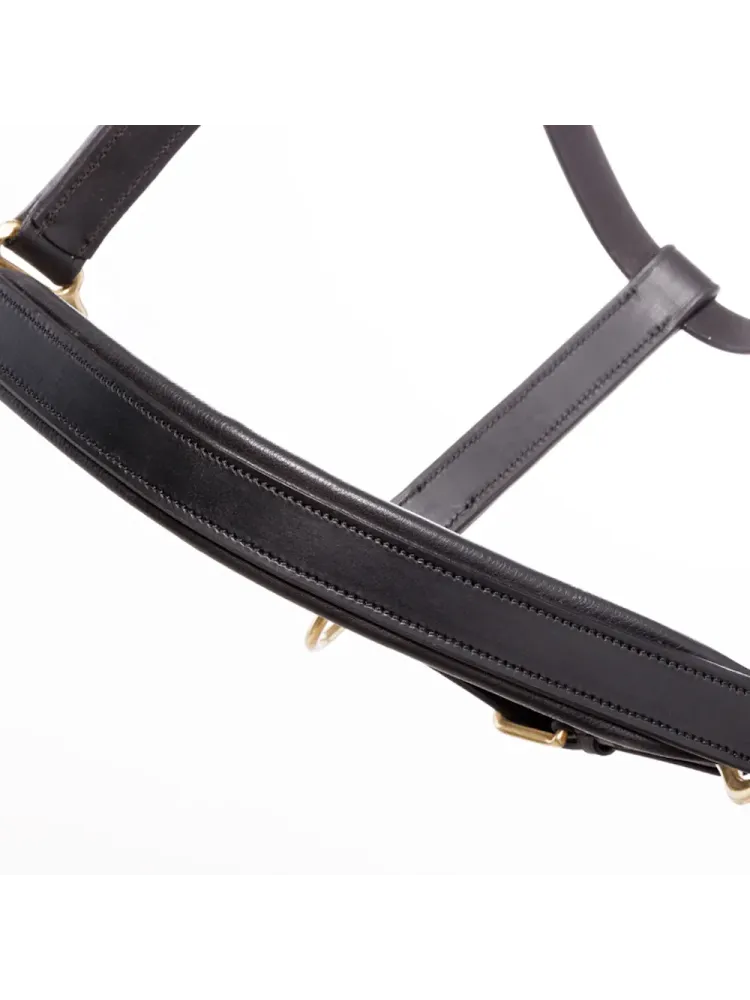 Nahast päitsed Cinta Kavalkade