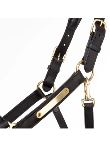 Nahast päitsed Cinta Kavalkade