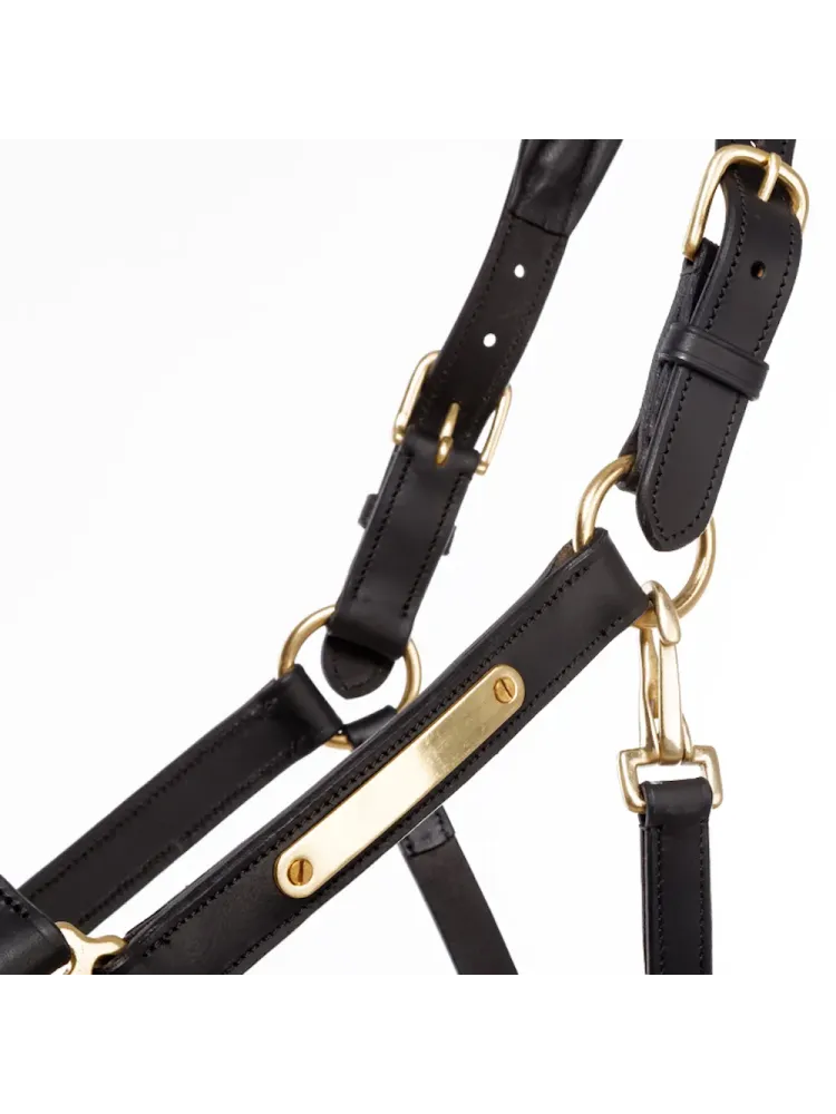 Nahast päitsed Cinta Kavalkade