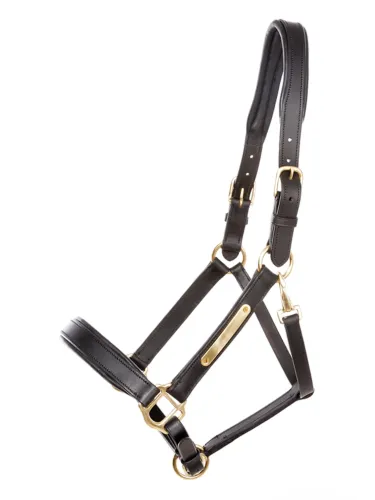 Nahast päitsed Cinta Kavalkade