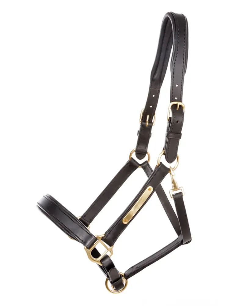 Nahast päitsed Cinta Kavalkade