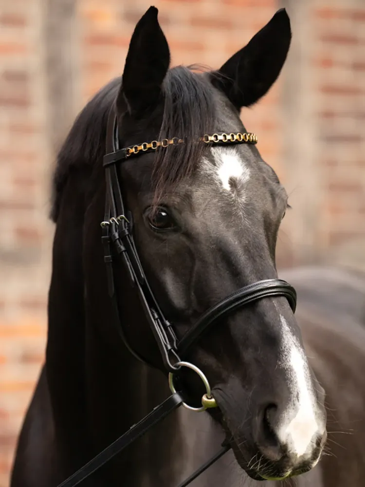 Otsmikurihm Catena Kavalkade