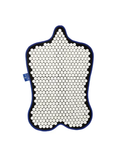 Matt Accuswede Floor Rider