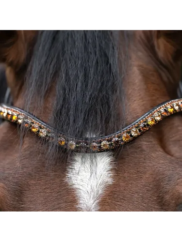 Otsmikurihm Dazzle Kavalkade