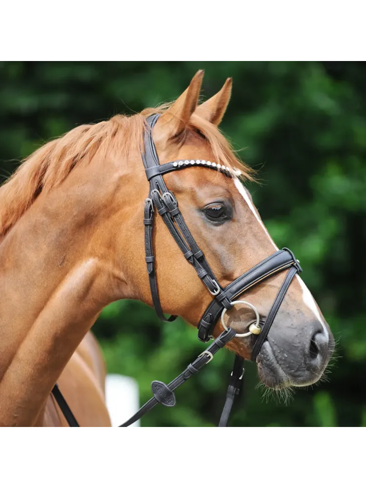 Valjad Cortica Veg Kavalkade