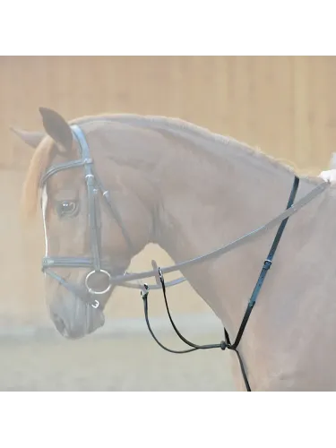 Martingal Ecoline Kavalkade